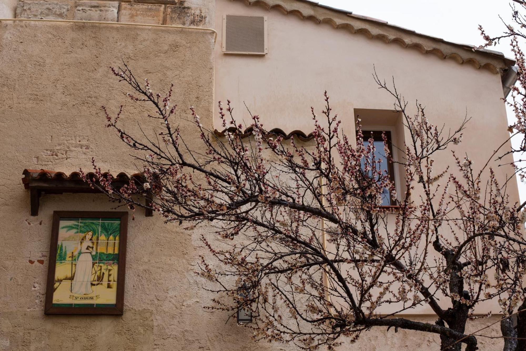 Huerto De Mateo Arana Villa Cuenca  Eksteriør bilde